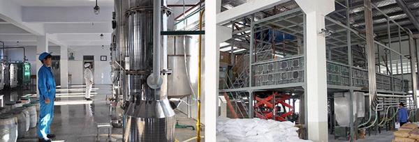 黄金城集团·(中国区)官方网站