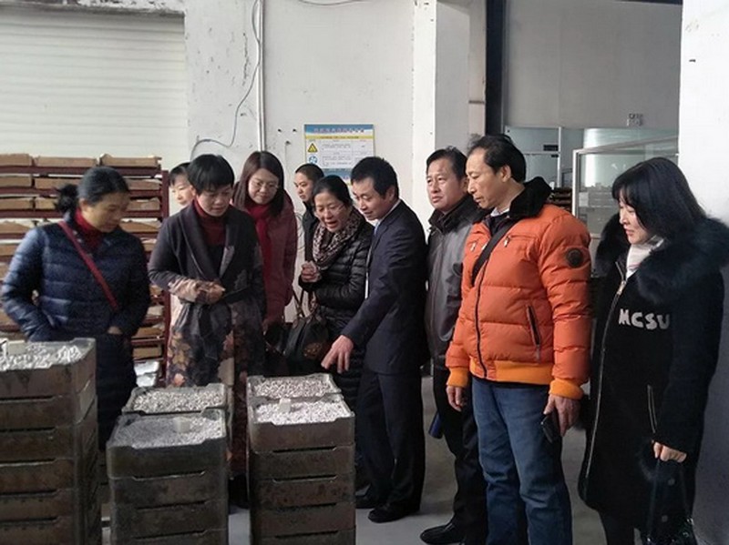 岳麓区人大代表调研先导电陶