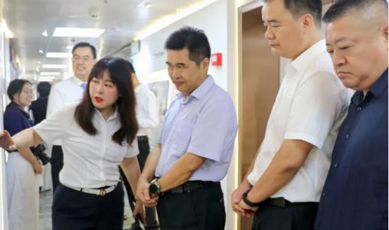 岳麓区人大常委会调研集团侨务事情