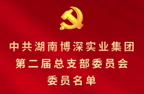 集团新一届党总支委员会职员名单