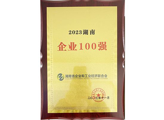 2023湖南企业100强
