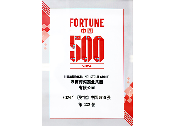 《财产》中国500强