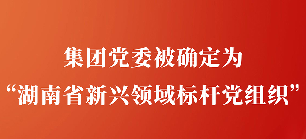 集团党委被确定为“湖南省新兴领域标杆党组织”