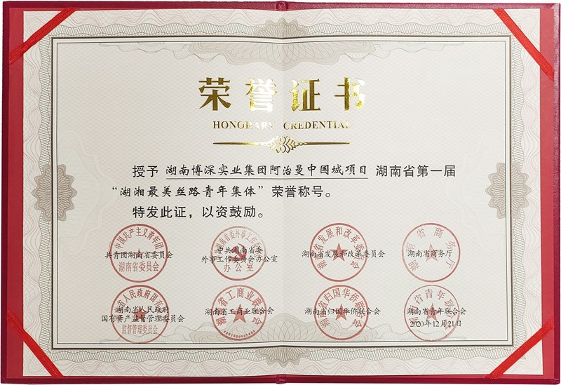 湖湘最美丝路青年集体