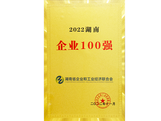 2022湖南企业100强
