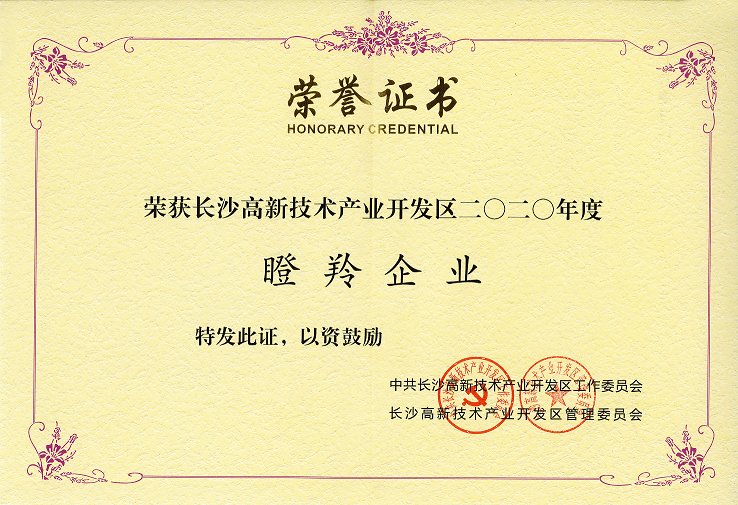 2020年度瞪羚企业