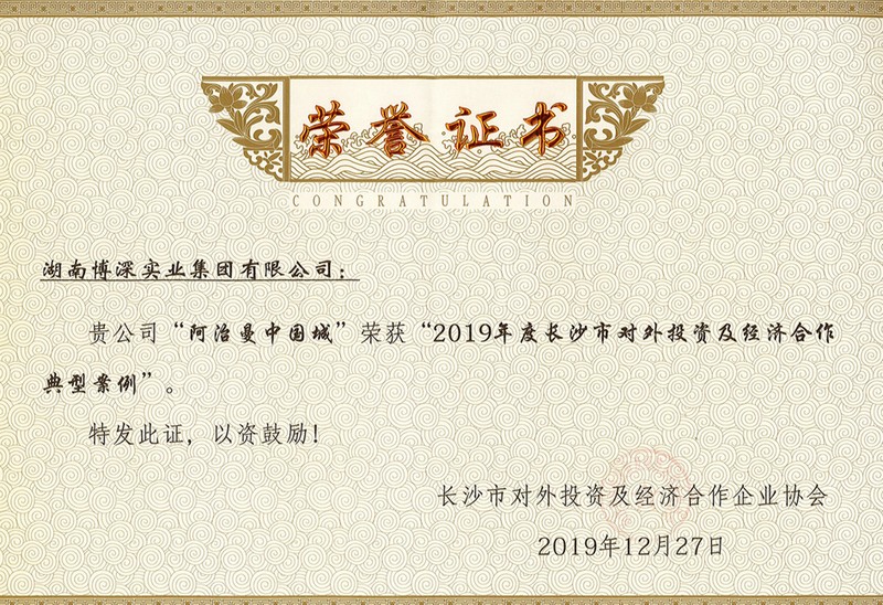 2019年度长沙市对外投资及经济合作典型案例