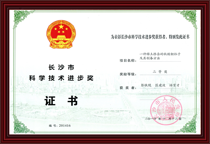 长沙科学技术进步奖（个人）