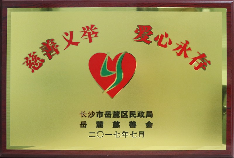 长沙市岳麓区“慈善义举 爱心永存”称号（长沙市岳麓区民政局 岳麓慈善会）