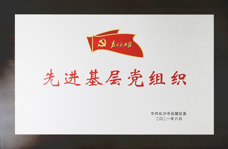 2021岳麓区委先进基层党组织