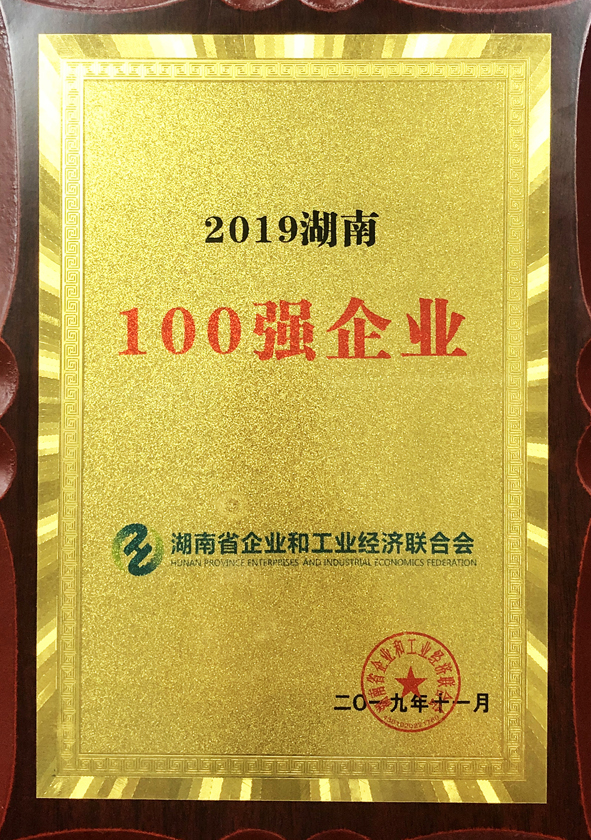 2019湖南100强企业